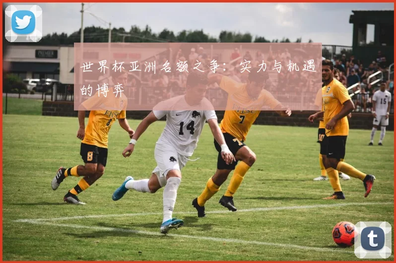 世界杯亚洲名额之争：实力与机遇的博弈